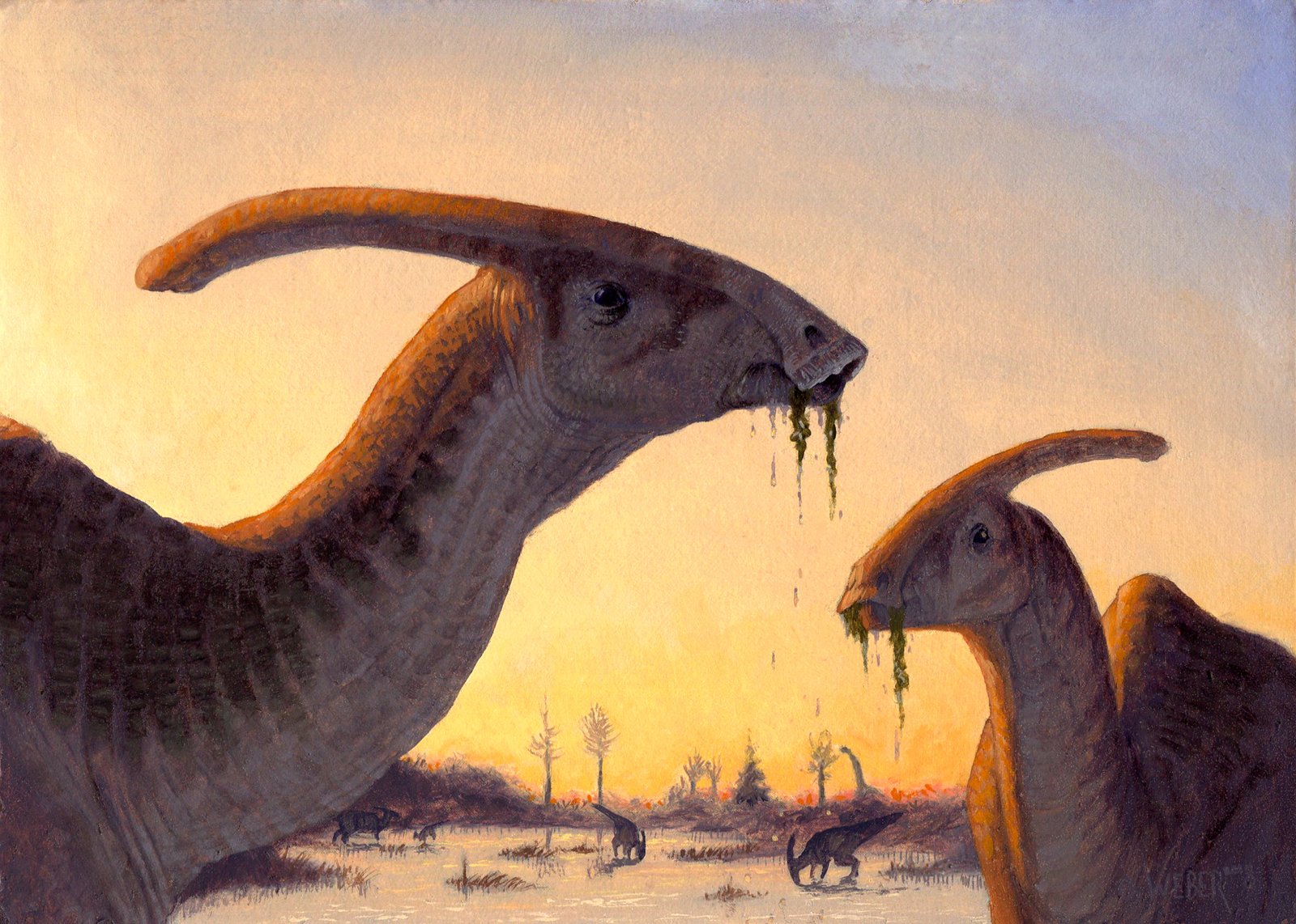 parasaurolophus