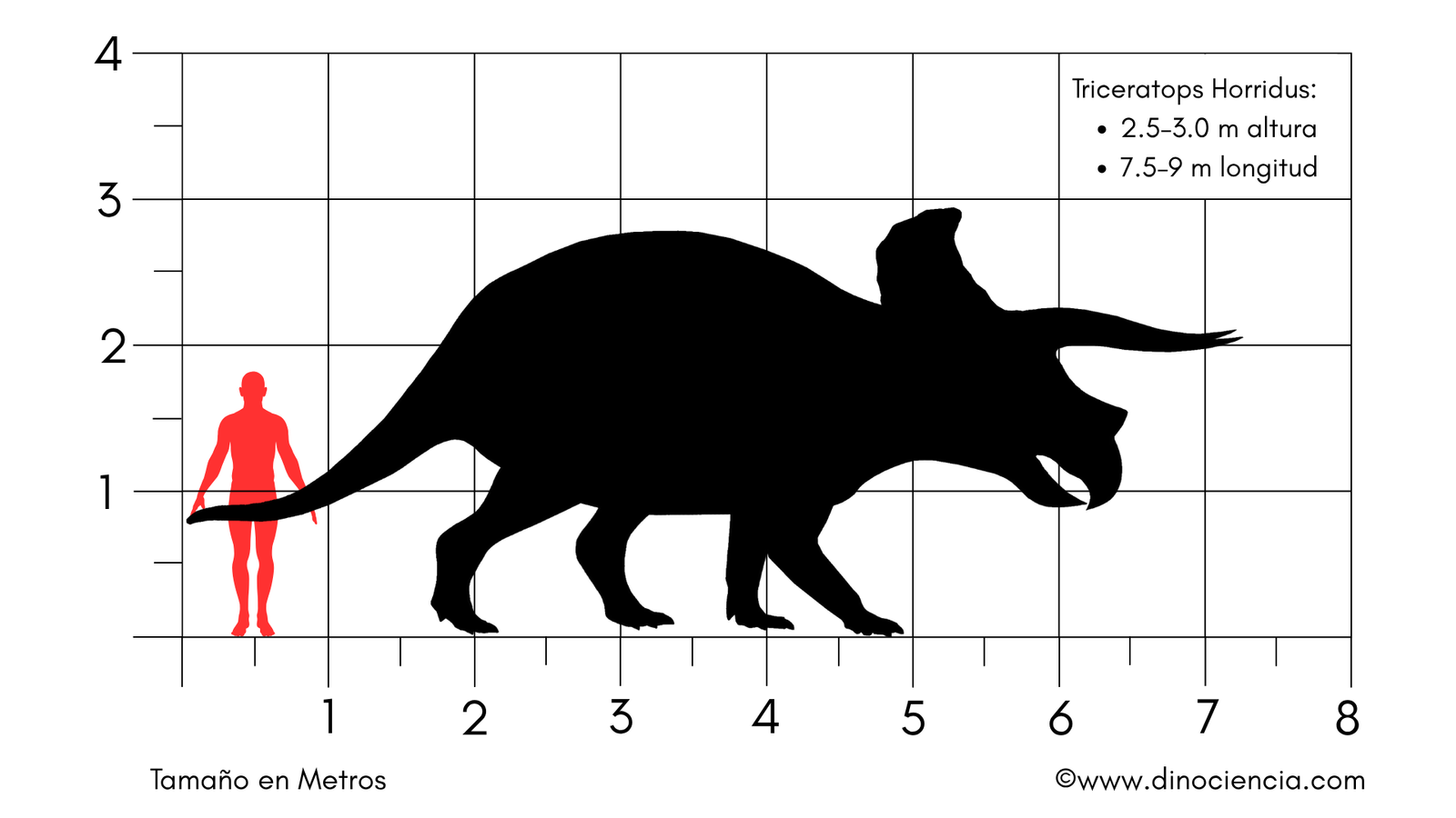 Tamaño Triceratops Horridus Triceratops Horridus size