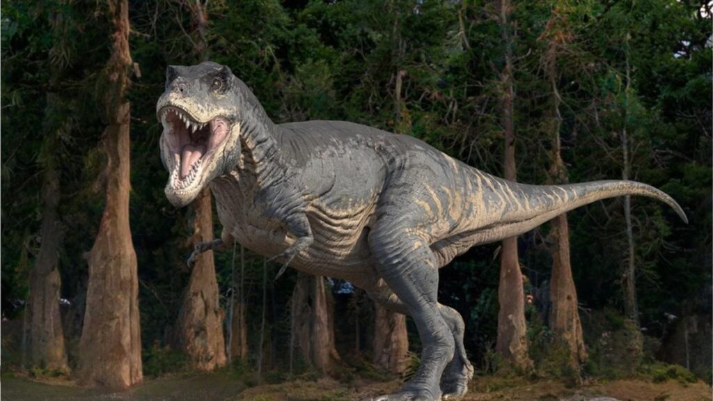 Trex Portada Tiranosaurio Rex T Rex cuerpo completo rugiendo