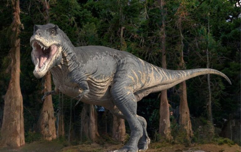 Tiranosaurio Rex T Rex cuerpo completo rugiendo