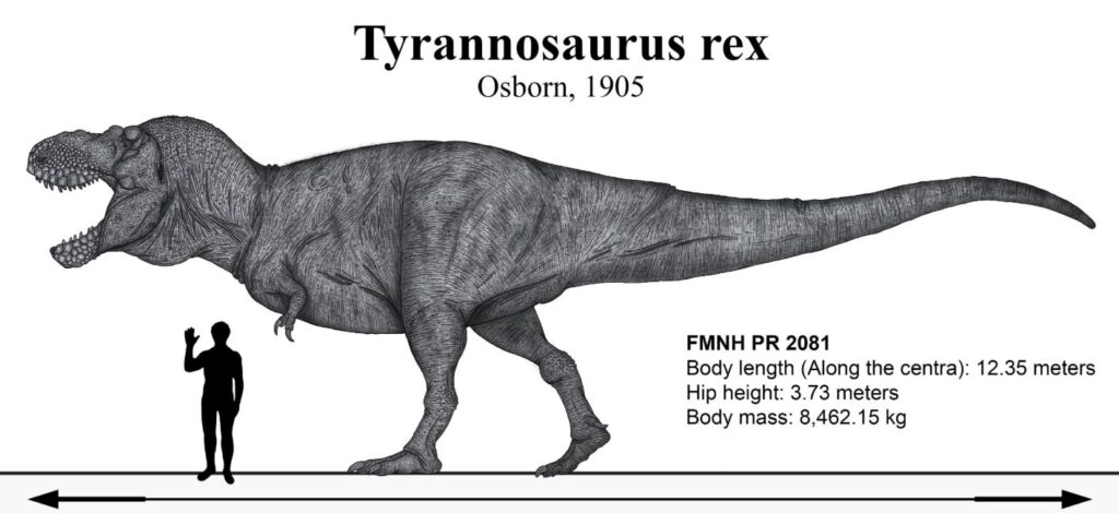 comparativa tamaño trex