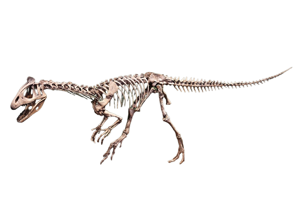 Cryolophosaurus Ellioti