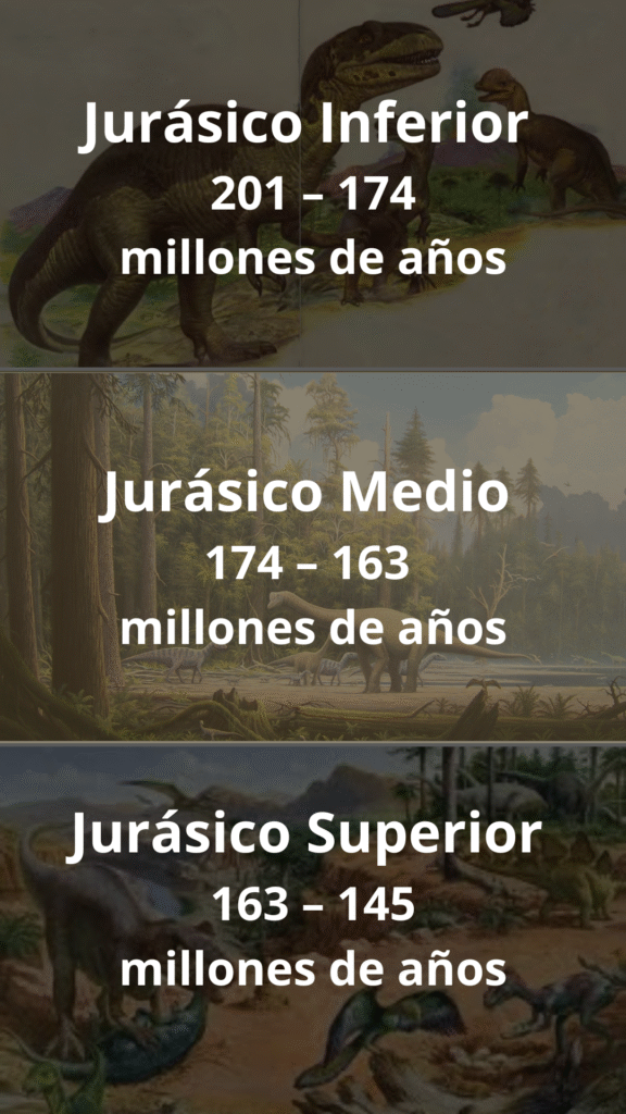 Divisiones del Jurásico