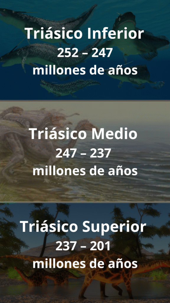 Divisiones del Triásico