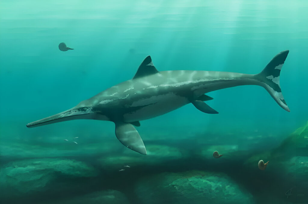 Eurhinosaurus Eurhinosaurus
