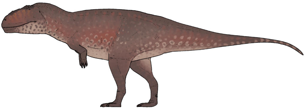 Tameryraptor_markgrafi