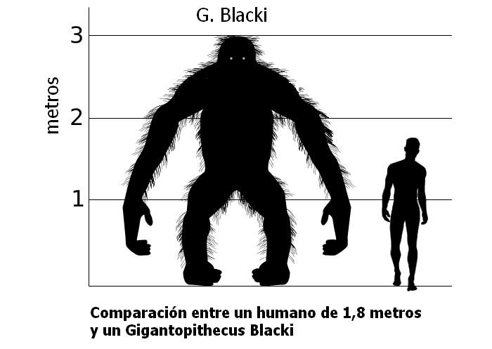 comparacion G