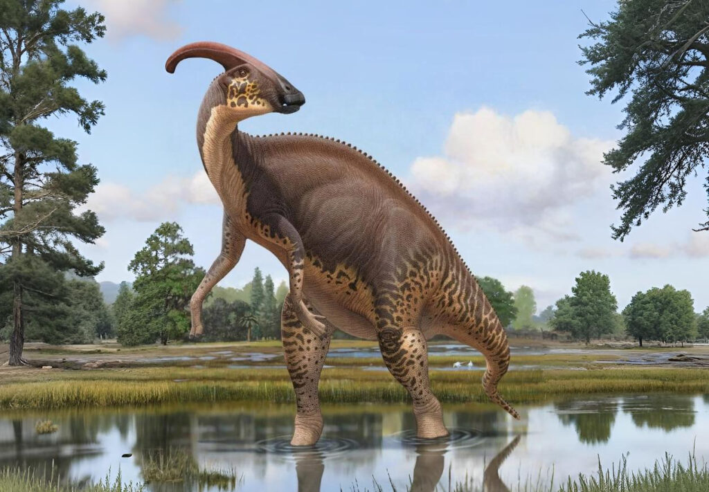 parasaurio Parasaurolophus: Características, hábitat y misterios de su famosa cresta