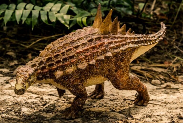 Acantholipan gonzalezi