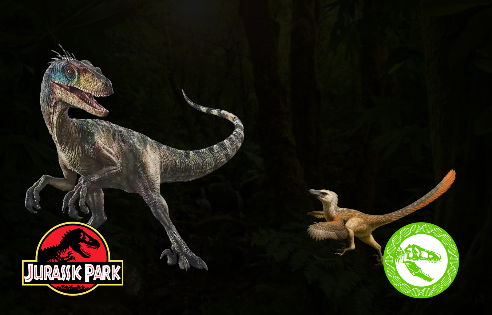 Velociraptor realista