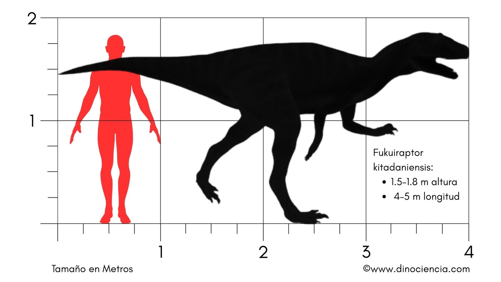 Fukuiraptor size