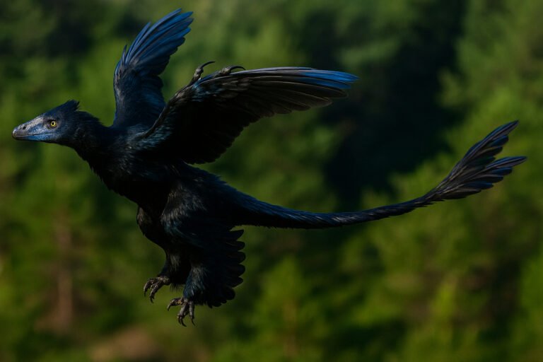 microraptor zhaoianus